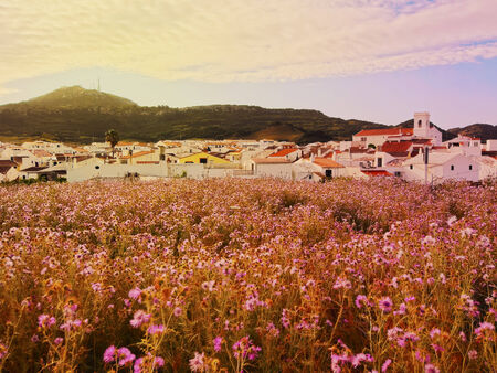 View of Es Mercadal - small town on Menorca, Balearic Islands, Spainの写真素材