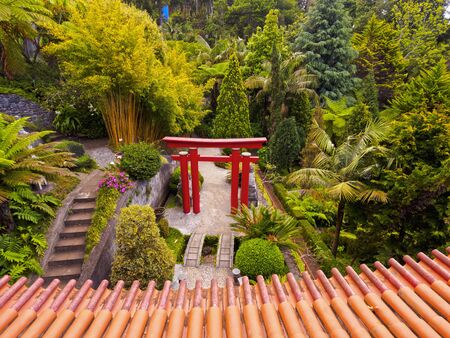 Portugal, Madeira, Funchal, Monte, view of the Oriental Gardens in the Monte Palace Tropical Garden.のeditorial素材