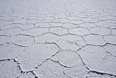 Bolivia, Potosi Department, Daniel Campos Province, View of the Salar de Uyuni, the largest salt flat in the world.の写真素材