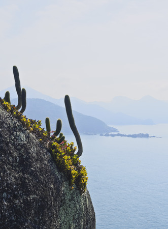 Brazil, State of Sao Paulo, Ilhabela Island, Coast viewed from the Mirante da Barra near Bonete.
の写真素材