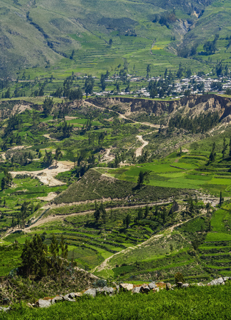 Colca Valley, Arequipa Region, Peru