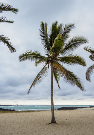 Beach in Puerto Villamil, Isabela or Albemarle Island, Galapagos, Ecuadorの写真素材