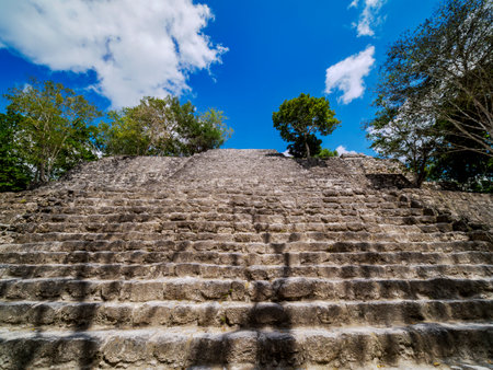 Structure VII, Calakmul Archaeological Site, Campeche State, Mexicoの写真素材