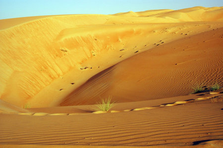 Liwa sand dunes. Wind-formed patterns in this collection of sand in the Arabian Desert, Abu Dhabi, UAEの写真素材