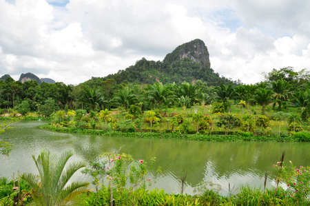 Pinnicles near Phangnga. Free standing mounds make up the landscape of this Southern Thailand areaの写真素材