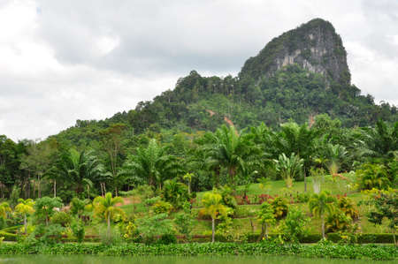 Pinnicles near Phangnga. Free standing mounds make up the landscape of this Southern Thailand areaの写真素材