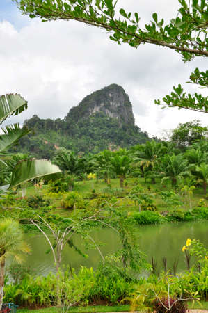 Pinnicles near Phangnga. Free standing mounds make up the landscape of this Southern Thailand areaの写真素材