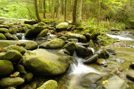 Rapids on Laurel creek. Flowing here through the Great Smoky Mountains National Park, TN/NC, USAの写真素材