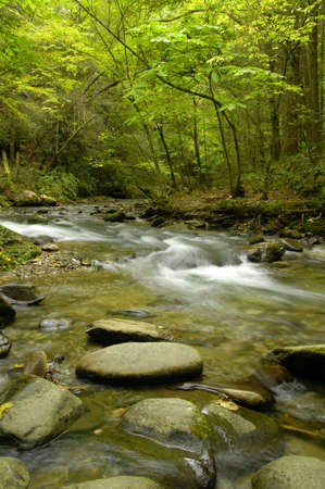 Rapids on Laurel creek. Flowing here through the Great Smoky Mountains National Park, TN/NC, USAの写真素材