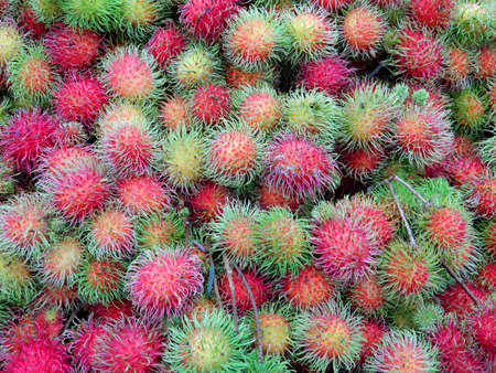 Rambutan (Nephelium lappaceum). Fresh from the farm, these fruits are ready to buy on this market in Ho Chi Minh City, Vietnamの写真素材