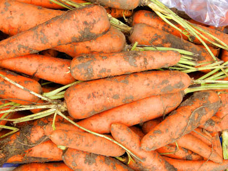 Carrots (Daucus carota).  Fresh from the farm, these vegetables are ready to buy on this market in Ho Chi Minh City, Vietnamの写真素材