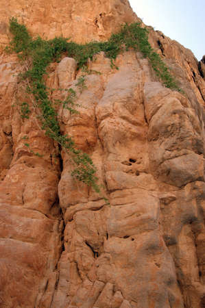 Hajar Mountains. The Hajar Mountains range from the northern Mussandam peninsula of Oman, through eastern UAE and into the southern part of Omanの写真素材