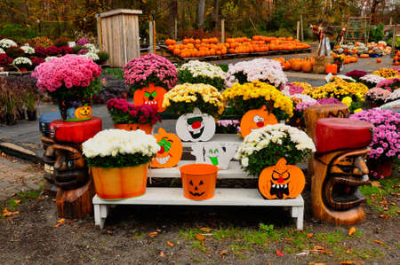 Halloween display. An annual event on October 31st where children dress in costumes and go trick-or-treating around their neighbours doors, collecting sweetsのeditorial素材