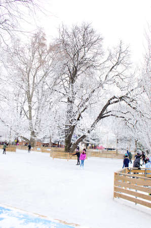 Snow-covered trees. Photographed here in the city of Vienna, after a considerable snowstorm, Austriaのeditorial素材