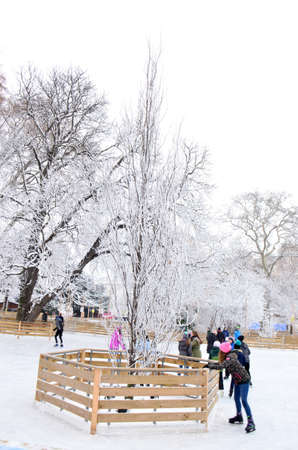 Snow-covered trees. Photographed here in the city of Vienna, after a considerable snowstorm, Austriaのeditorial素材