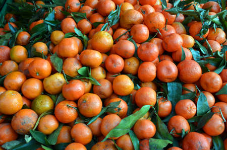 Tangerines (Citrus tangerina). For sale on a fruits and vegetables market in the streets of Vienna, Austriaの写真素材