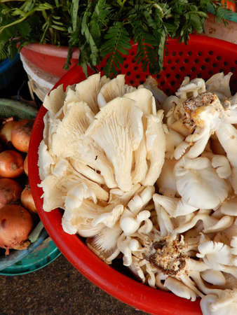 Mushrooms (Gen Agaricus).      Produce on display and for sale on this fruits and vegetable market in Pnom Penn, Cambodiaの写真素材