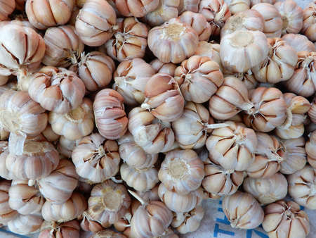 Garlic (Allium sativum). Produce on display and for sale on this fruits and vegetable market in Pnom Penn, Cambodiaの写真素材