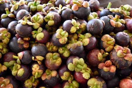 Purple mangosteen (Garcinia mangostana). Produce on display and for sale on this fruits and vegetable market in Pnom Penn, Cambodiaの写真素材