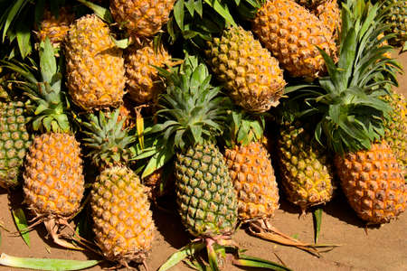 Pineapple (Ananas comosus). Produce on display and for sale on this fruits and vegetable market in Pnom Penn, Cambodiaの写真素材