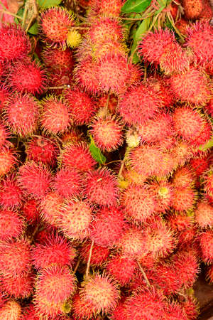 Rambutan (Nephelium lappaceum). Produce on display and for sale on this fruits and vegetable market in Pnom Penn, Cambodiaの写真素材
