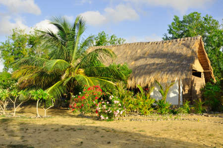 Landscaped gardens around this nature hotel near on the Kalpitya peninsular, NW Sri Lankaのeditorial素材