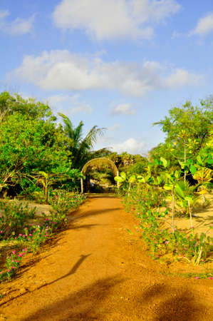 Landscaped gardens around this nature hotel near on the Kalpitya peninsular, NW Sri Lankaのeditorial素材