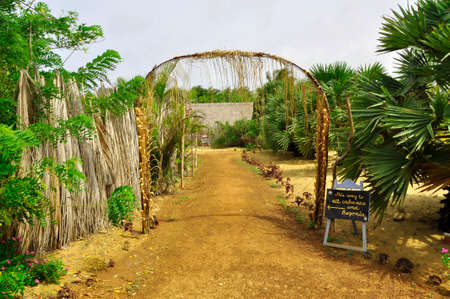 Landscaped gardens around this nature hotel near on the Kalpitya peninsular, NW Sri Lankaのeditorial素材