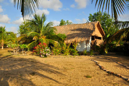 Landscaped gardens around this nature hotel near on the Kalpitya peninsular, NW Sri Lankaのeditorial素材
