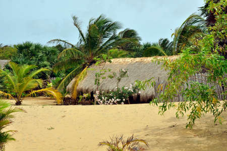 Landscaped gardens around this nature hotel near on the Kalpitya peninsular, NW Sri Lankaのeditorial素材