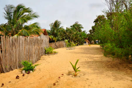 Landscaped gardens around this nature hotel near on the Kalpitya peninsular, NW Sri Lankaのeditorial素材
