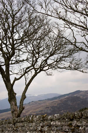 The bleak, windswept landscape of the Scottish Highlands, taken here in the month of Aprilの写真素材