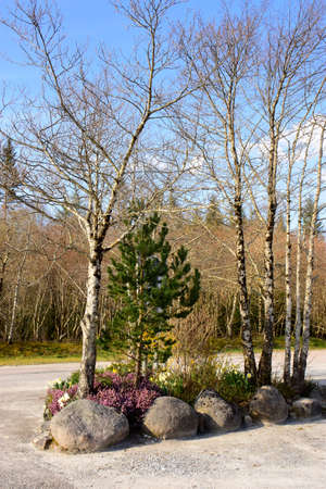 A small colourful flower garden decorating an unpaved car park in Scotlandの写真素材