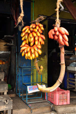 Galle market. A fruits and vegetables market in this Southern Sri Lankan townの写真素材