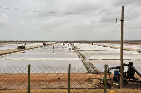 Salt evaporation lakes. Sea water lakes from which the water evaporates leaving salt to be collected, Sri Lankaの写真素材