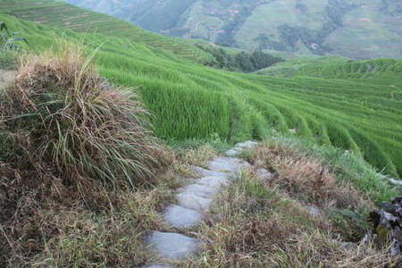 China Guilin Rural Village Rice Terracesの写真素材