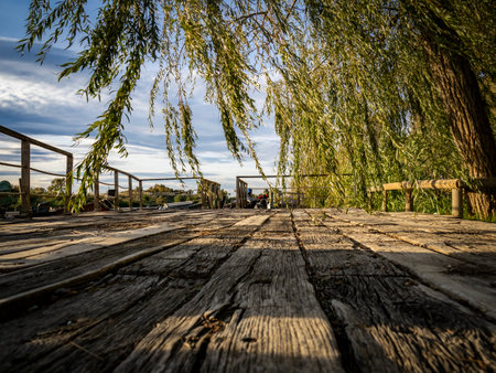 Old wooden bridge with willow branches and blue sky in the backgroundの写真素材