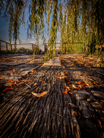 Wooden bridge in the park in autumn, closeup of photoの写真素材