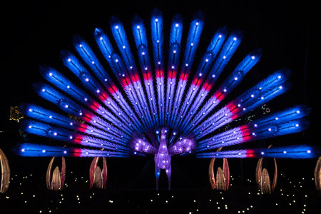 The light show at Chiang Mai Flower Festival 2015.