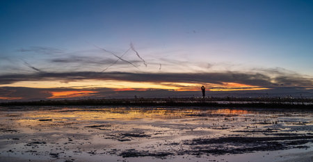 Sunset at the salt lake in the countryside of Phetchaburi, Thailandの写真素材