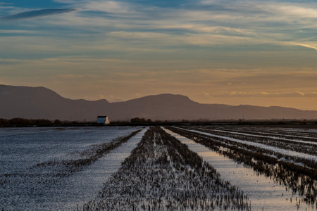 Sunset in the salt marshes of Andalusia, Spain