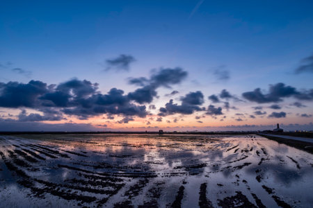 Sunset over paddy field in the countryside of Thailand. The rice fields are flooded with water.