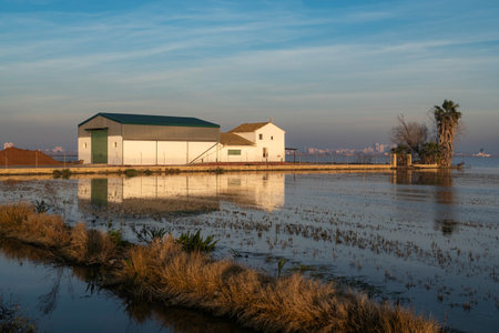 Farm in the salt marshes of the Gulf of Mexico at sunsetの写真素材
