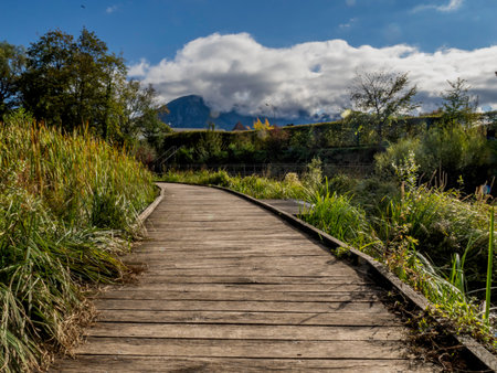 Wooden walkway in a park with mountains in the background.