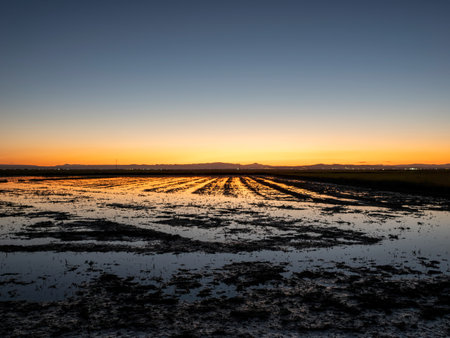 Sunset in the salt marshes of the Camargue, France
