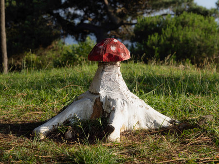 Mushroom growing on a tree stump.
