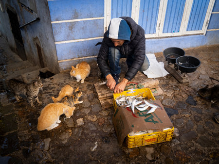 Man sells fish in the street of Kathmandu, Nepal.のeditorial素材