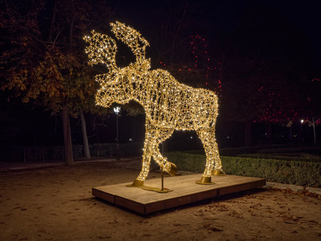 Christmas lights in the form of a reindeer in the parkの写真素材
