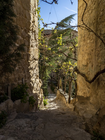 Narrow street in the old city of Rhodes, Greece. Rhodes is one of the most popular tourist destinations in Greece.の写真素材