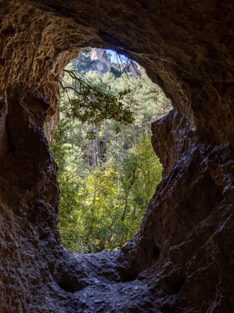 Inside view of a cave in the forest, illuminated by the sunの写真素材
